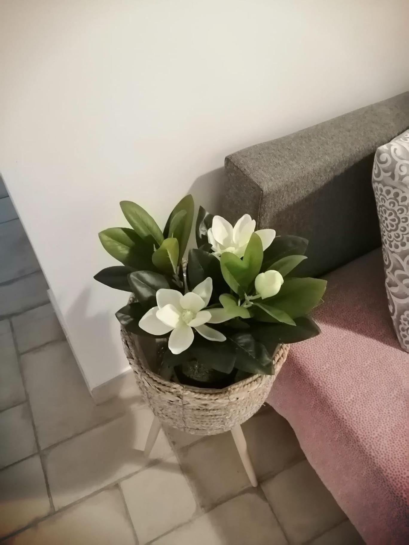 Apartament Il Vicoletto Sul Castello Neapol Zewnętrze zdjęcie
